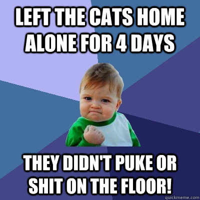 left the cats home alone for 4 days They didn't puke or shit on the floor!  Success Kid