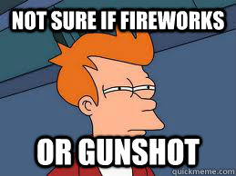 Not sure if fireworks or gunshot  Fry futurama