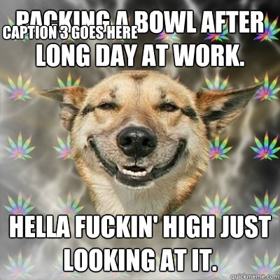 packing a bowl after long day at work. hella fuckin' high just looking at it. Caption 3 goes here  Stoner Dog