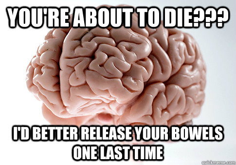 You're about to die??? I'd Better release your bowels one last time   Scumbag Brain