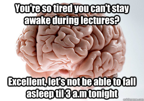 You're so tired you can't stay awake during lectures? Excellent, let's not be able to fall asleep til 3 a.m tonight  Scumbag Brain