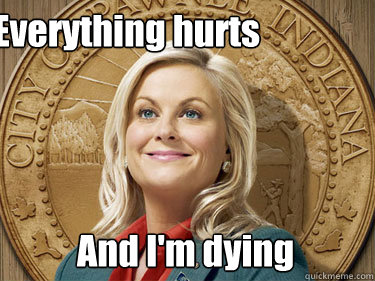 Everything hurts And I'm dying   Leslie Knope