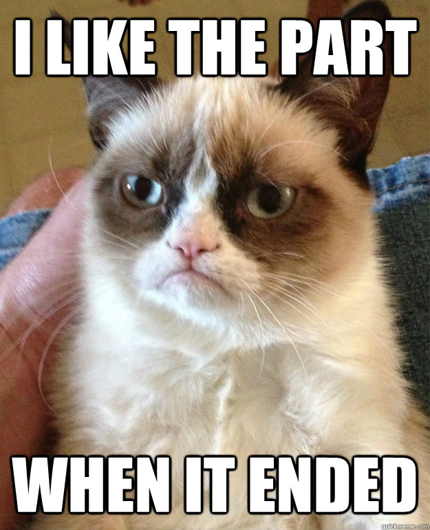 I like the part when it ended  grumpycat