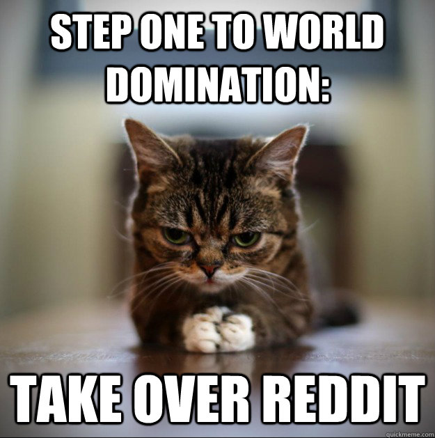 Step one to world domination: take over reddit - Step one to world domination: take over reddit  World Domination Kitty