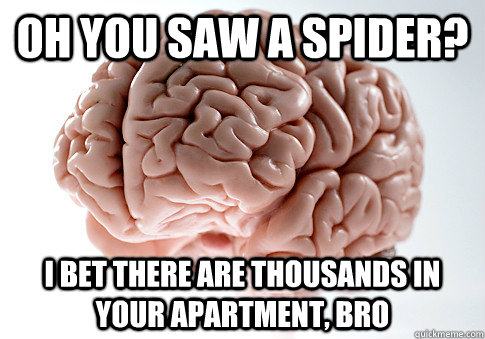 Oh you saw a spider? I bet there are thousands in your apartment, bro - Oh you saw a spider? I bet there are thousands in your apartment, bro  Scumbag Brain