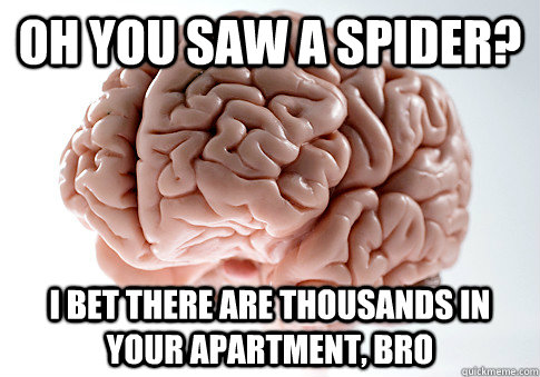 Oh you saw a spider? I bet there are thousands in your apartment, bro  Scumbag Brain
