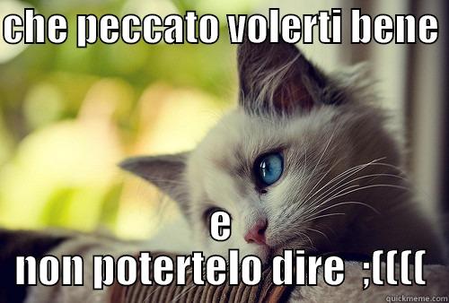 CHE PECCATO VOLERTI BENE  E NON POTERTELO DIRE  ;(((( First World Problems Cat