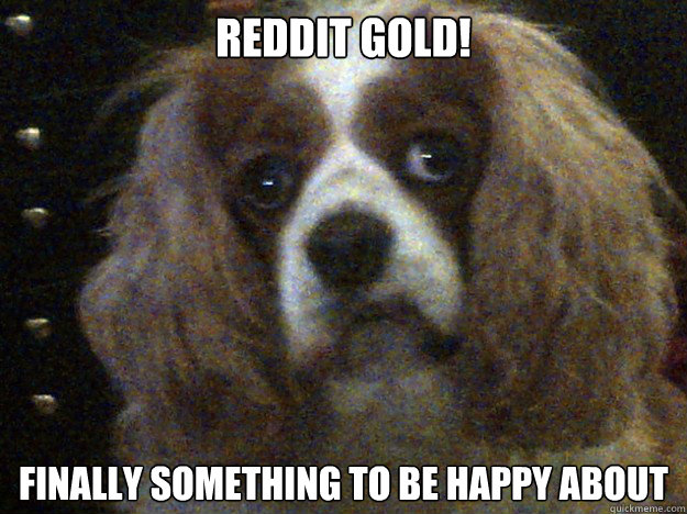 REDDIT GOLD! Finally something to be happy about  