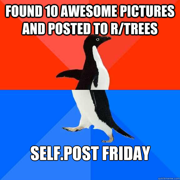 Found 10 awesome pictures and posted to r/trees self.post friday  Socially Awesome Awkward Penguin