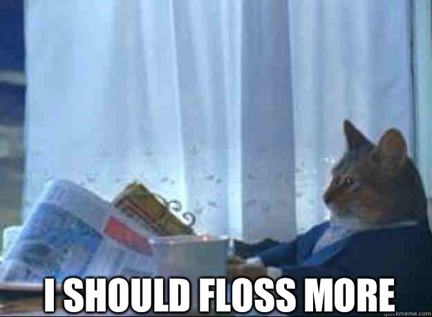  I should floss more  I should buy a boat cat