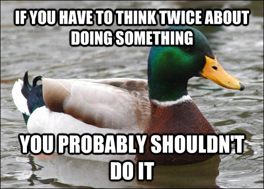 IF YOU HAVE TO THINK TWICE ABOUT DOING SOMETHING YOU PROBABLY SHOULDN'T DO IT  Actual Advice Mallard