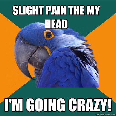 Slight pain the my head I'm going crazy!  Paranoid Parrot