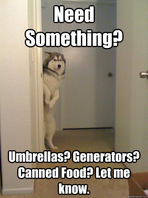 Need Something? Umbrellas? Generators? Canned Food? Let me know. - Need Something? Umbrellas? Generators? Canned Food? Let me know.  standing dog