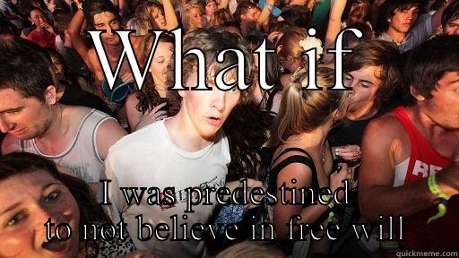 WHAT IF I WAS PREDESTINED TO NOT BELIEVE IN FREE WILL Sudden Clarity Clarence