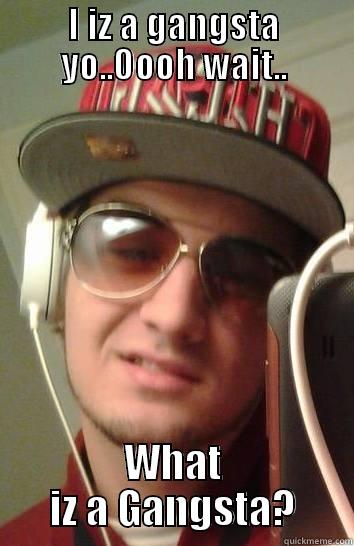 I IZ A GANGSTA YO..OOOH WAIT.. WHAT IZ A GANGSTA? Misc