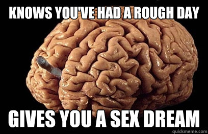 Knows you've had a rough day Gives you a sex dream  Good Guy Brain