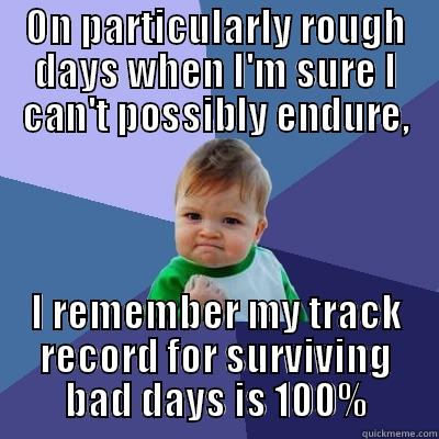 ON PARTICULARLY ROUGH DAYS WHEN I'M SURE I CAN'T POSSIBLY ENDURE, I REMEMBER MY TRACK RECORD FOR SURVIVING BAD DAYS IS 100% Success Kid