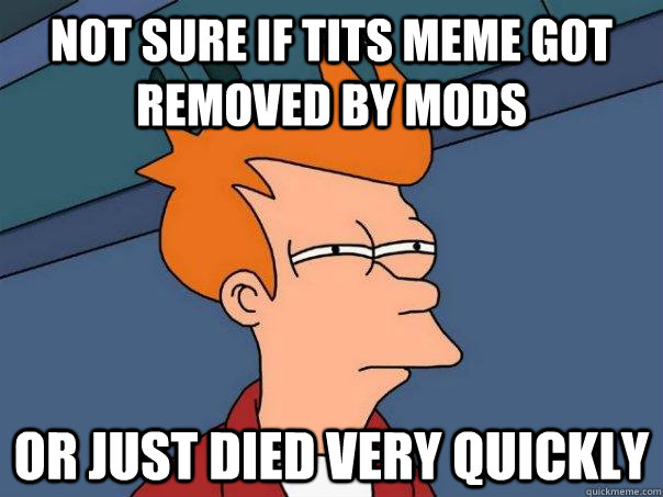 not sure if tits meme got removed by mods or just died very quickly  Futurama Fry
