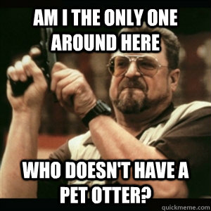 Am i the only one around here Who doesn't have a pet otter?  Am I The Only One Round Here