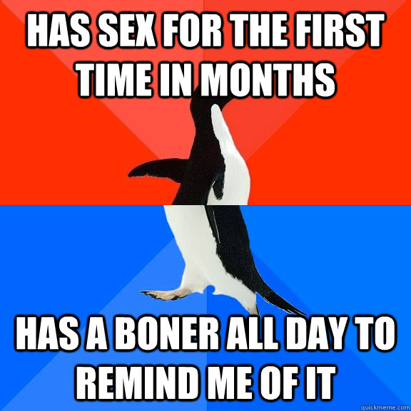Has sex for the first time in months Has a boner all day to remind me of it  Socially Awesome Awkward Penguin