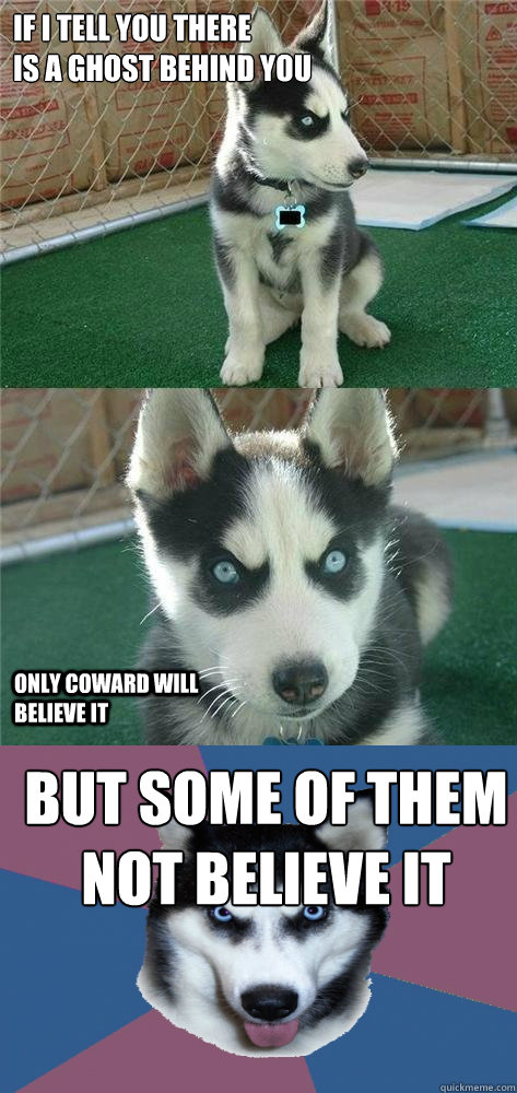 if i tell you there
is a ghost behind you but some of them not believe it only coward will believe it - if i tell you there
is a ghost behind you but some of them not believe it only coward will believe it  Insanity PuppyCreeper Canine