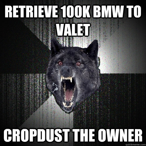 retrieve 100k BMW to valet cropdust the owner  Insanity Wolf