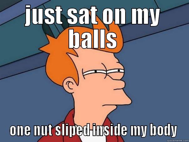 JUST SAT ON MY BALLS ONE NUT SLIPED INSIDE MY BODY Futurama Fry