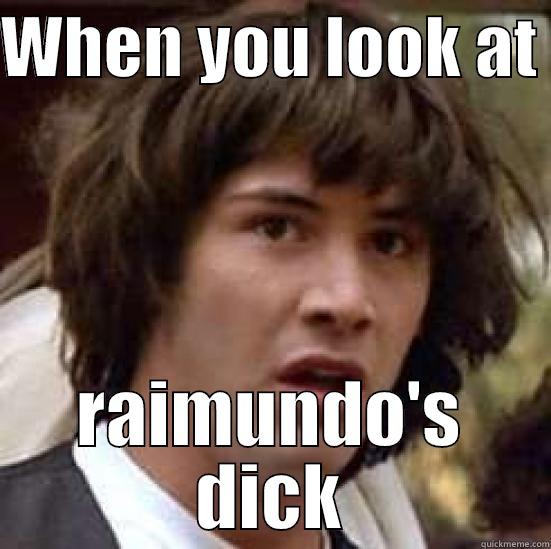 WHEN YOU LOOK AT  RAIMUNDO'S DICK conspiracy keanu