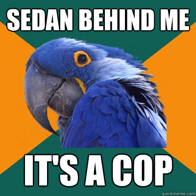 Sedan behind me IT'S A COP  Paranoid Parrot