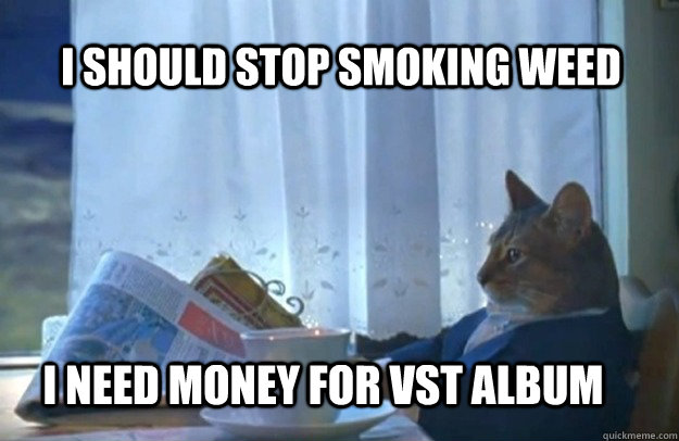 i should stop smoking weed i need money for vst album  Sophisticated Cat