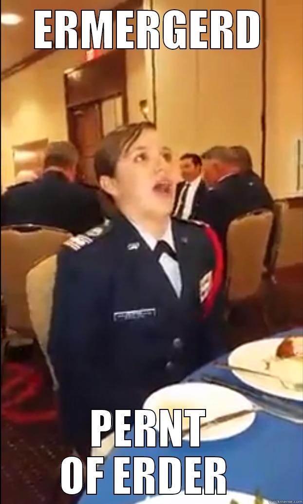 ERMERGERD PERNT OF ERDER  Misc