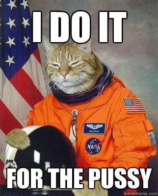 I do it  for the pussy - I do it  for the pussy  Astronaut cat