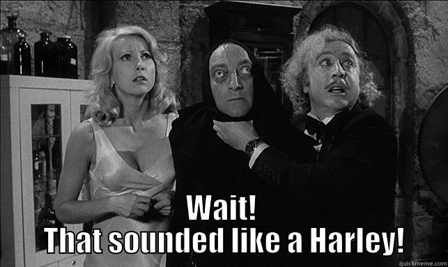  WAIT!  THAT SOUNDED LIKE A HARLEY! Misc