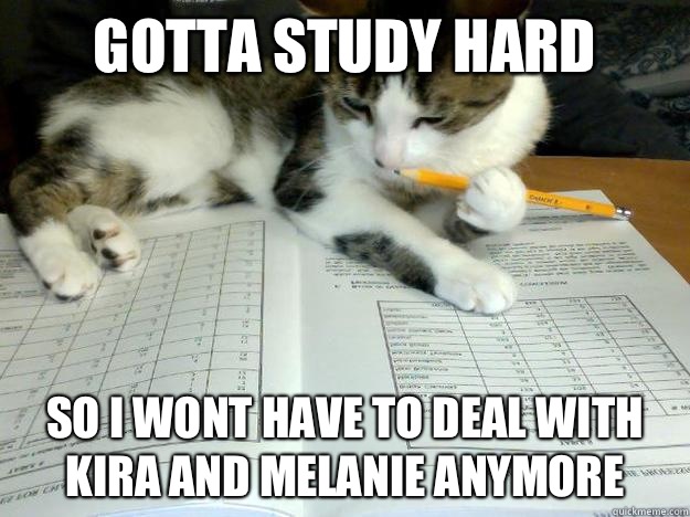 Gotta study hard  so i wont have to deal with Kira and Melanie anymore - Gotta study hard  so i wont have to deal with Kira and Melanie anymore  Study Cat