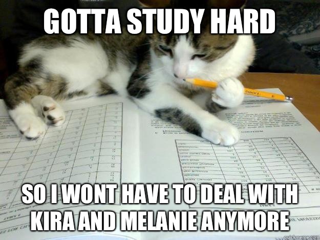 Gotta study hard  so i wont have to deal with Kira and Melanie anymore  Study Cat