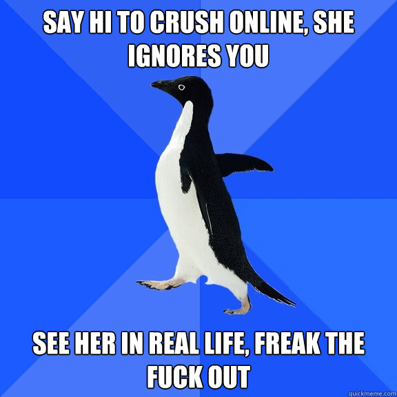 say hi to crush online, she ignores you see her in real life, freak the fuck out  Socially Awkward Penguin