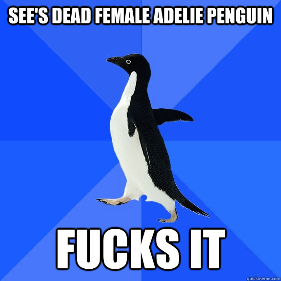 See's dead female adelie penguin fucks it  Socially Awkward Penguin