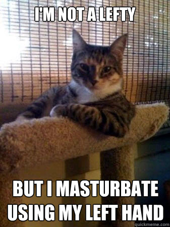I'm not a lefty but i masturbate using my left hand  The Most Interesting Cat in the World