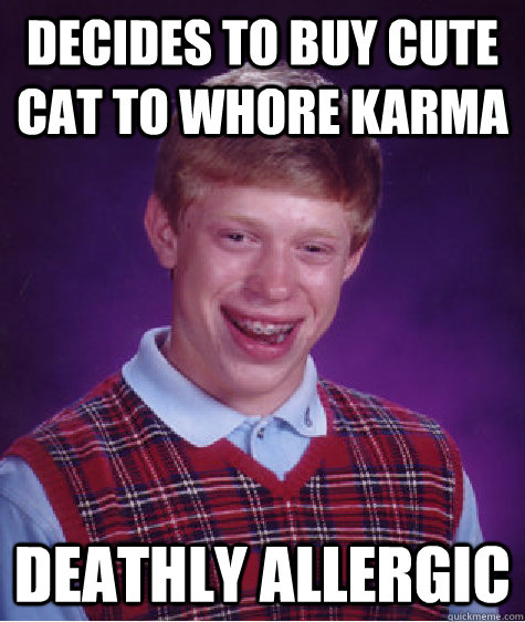 Decides to buy cute cat to whore karma Deathly allergic  Bad Luck Brian