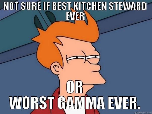 NOT SURE IF BEST KITCHEN STEWARD EVER OR WORST GAMMA EVER. Futurama Fry