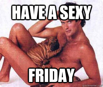 HAVE A SEXY FRIDAY - HAVE A SEXY FRIDAY  The Hoff