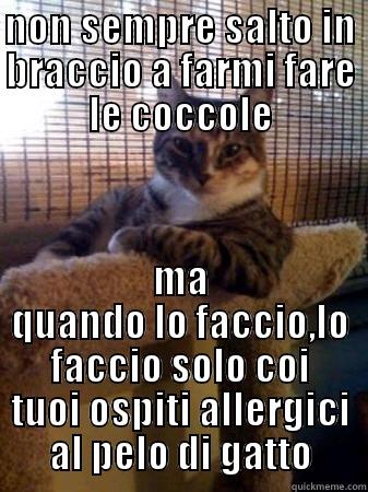 NON SEMPRE SALTO IN BRACCIO A FARMI FARE LE COCCOLE MA QUANDO LO FACCIO,LO FACCIO SOLO COI TUOI OSPITI ALLERGICI AL PELO DI GATTO The Most Interesting Cat in the World