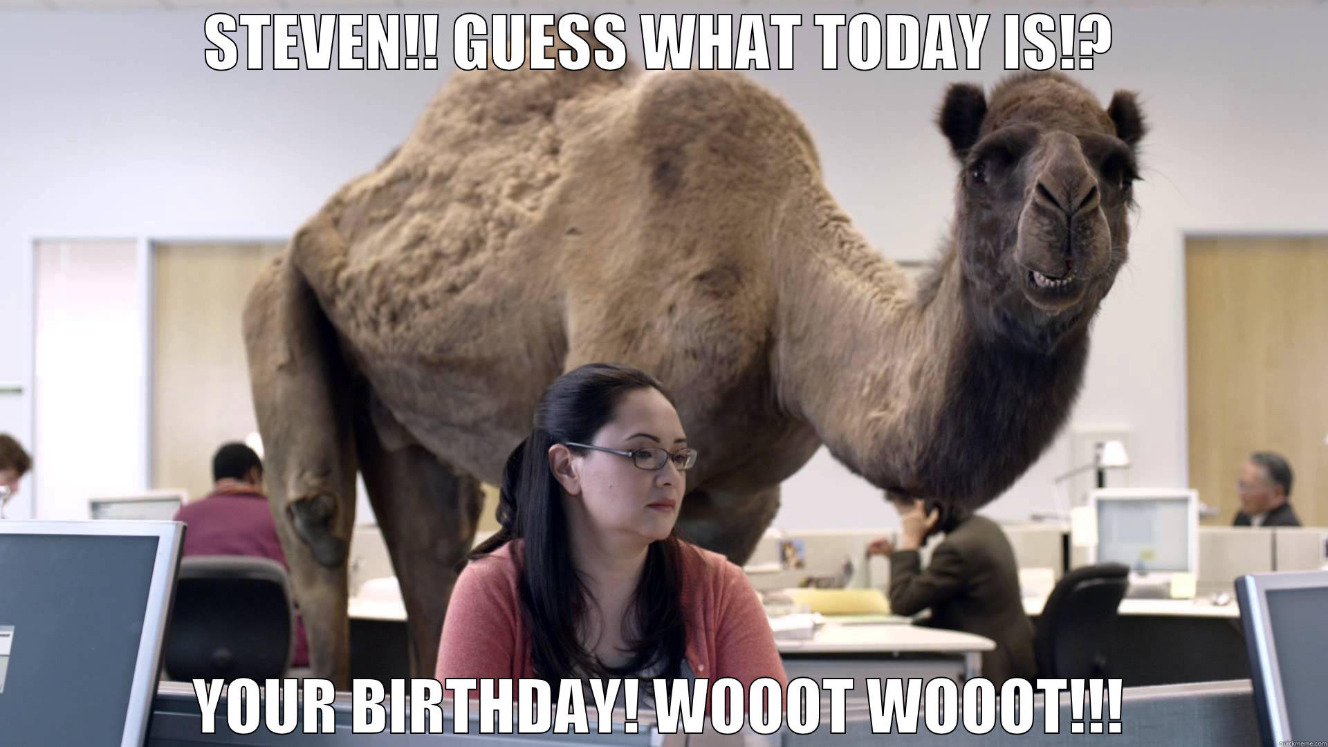 HAPPY BIRTHDAY STEVEN!  - STEVEN!! GUESS WHAT TODAY IS!? YOUR BIRTHDAY! WOOOT WOOOT!!! Misc