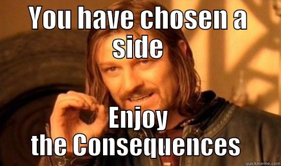 You reap what you sow - YOU HAVE CHOSEN A SIDE ENJOY THE CONSEQUENCES  Boromir