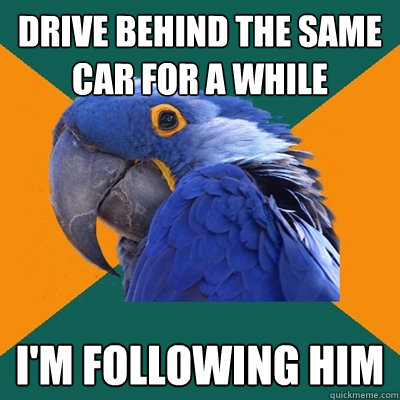 drive behind the same car for a while I'm following him  Paranoid Parrot