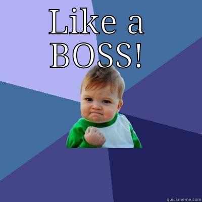 LIKE A BOSS!  Success Kid