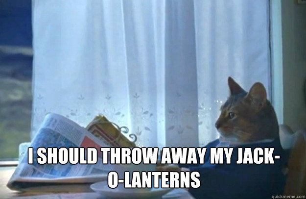 I should throw away my jack-o-lanterns  Sophisticated Cat