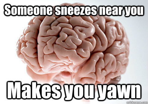 Someone sneezes near you Makes you yawn  Scumbag Brain