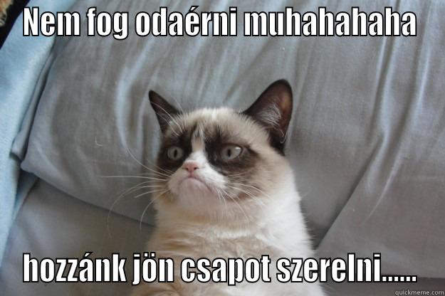 NEM FOG ODAÉRNI MUHAHAHAHA HOZZÁNK JÖN CSAPOT SZERELNI...... Grumpy Cat