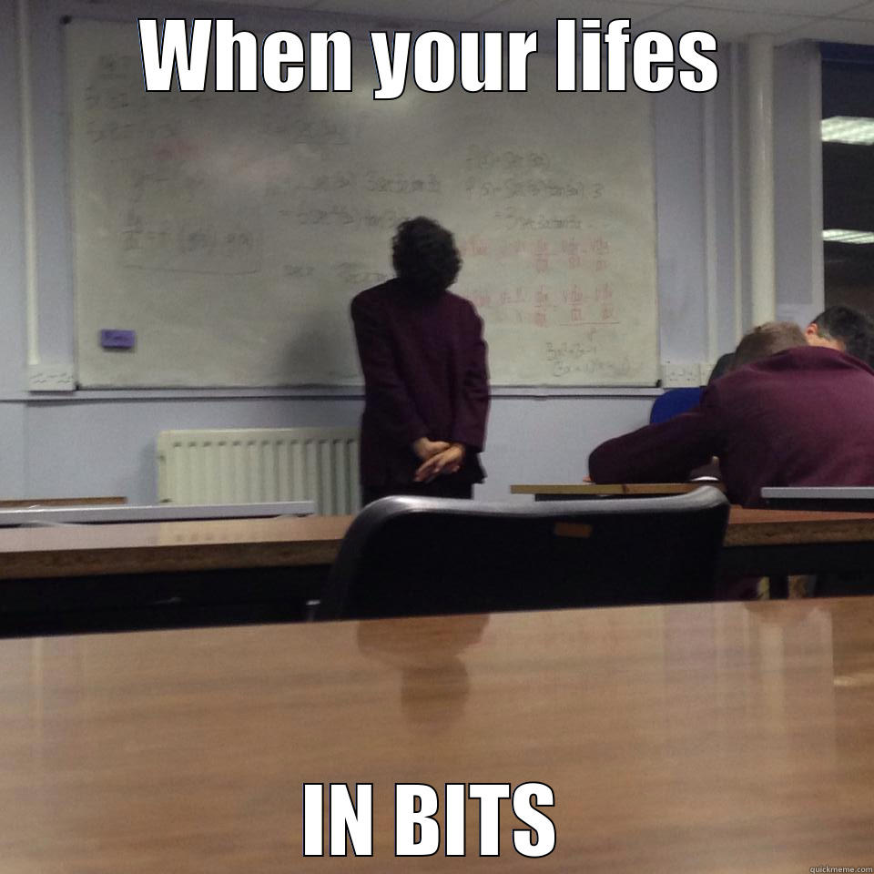 WHEN YOUR LIFES IN BITS Misc